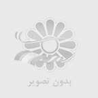 شهرام محمدی زاده